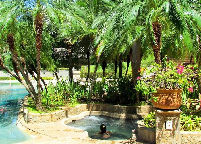 206 Matapalo Tamarindo