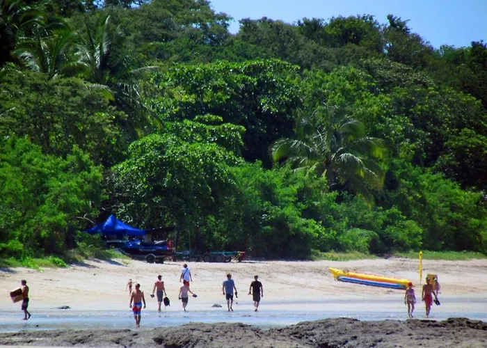 206 Matapalo Tamarindo