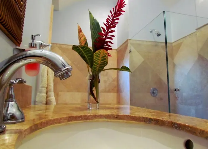 206 Matapalo Appartement