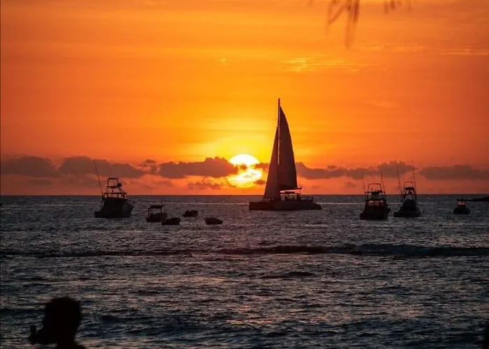 206 Matapalo Tamarindo