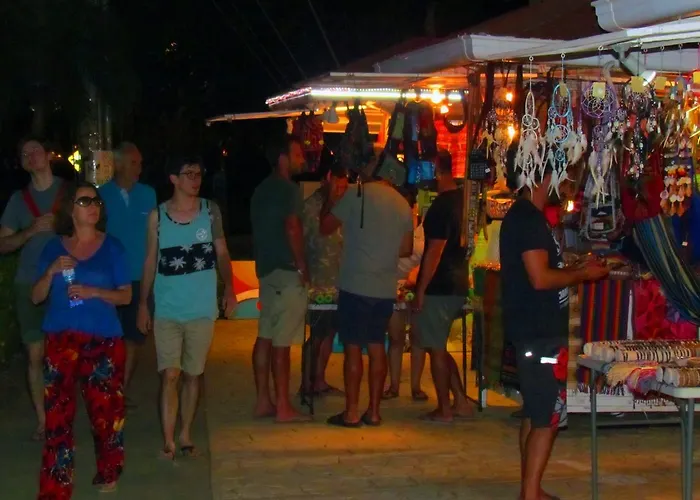 206 Matapalo Tamarindo