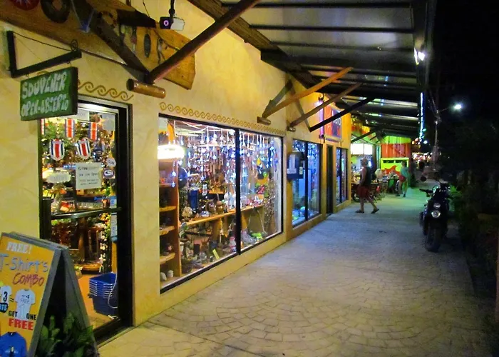 206 Matapalo Tamarindo